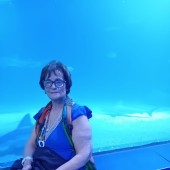 Vincenza - 68 | Palermo